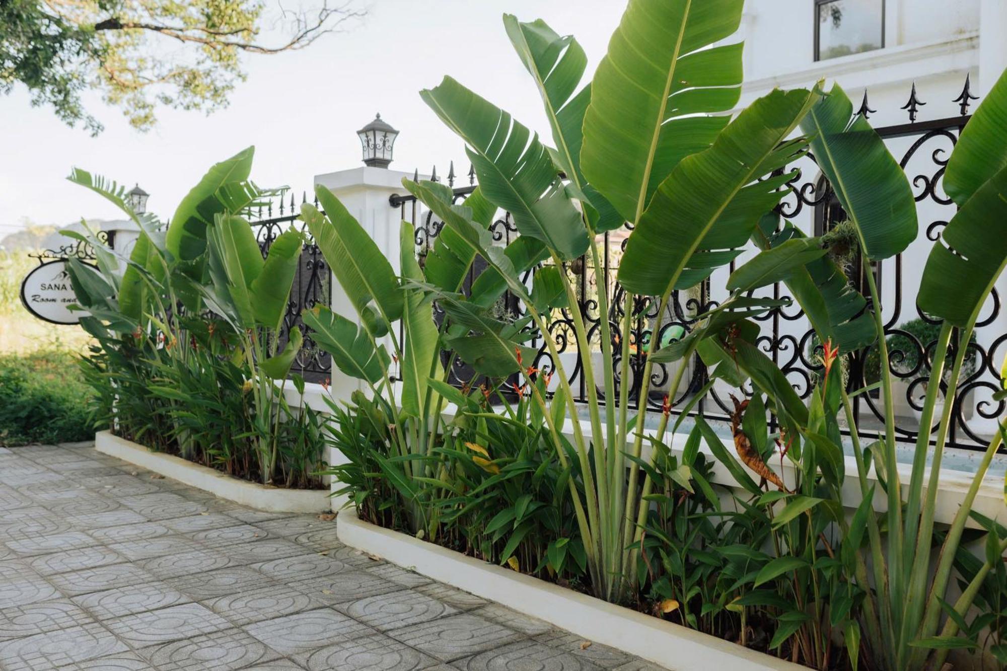 Tam Coc Sana Villa & Homestays Νιν Μπιν Εξωτερικό φωτογραφία