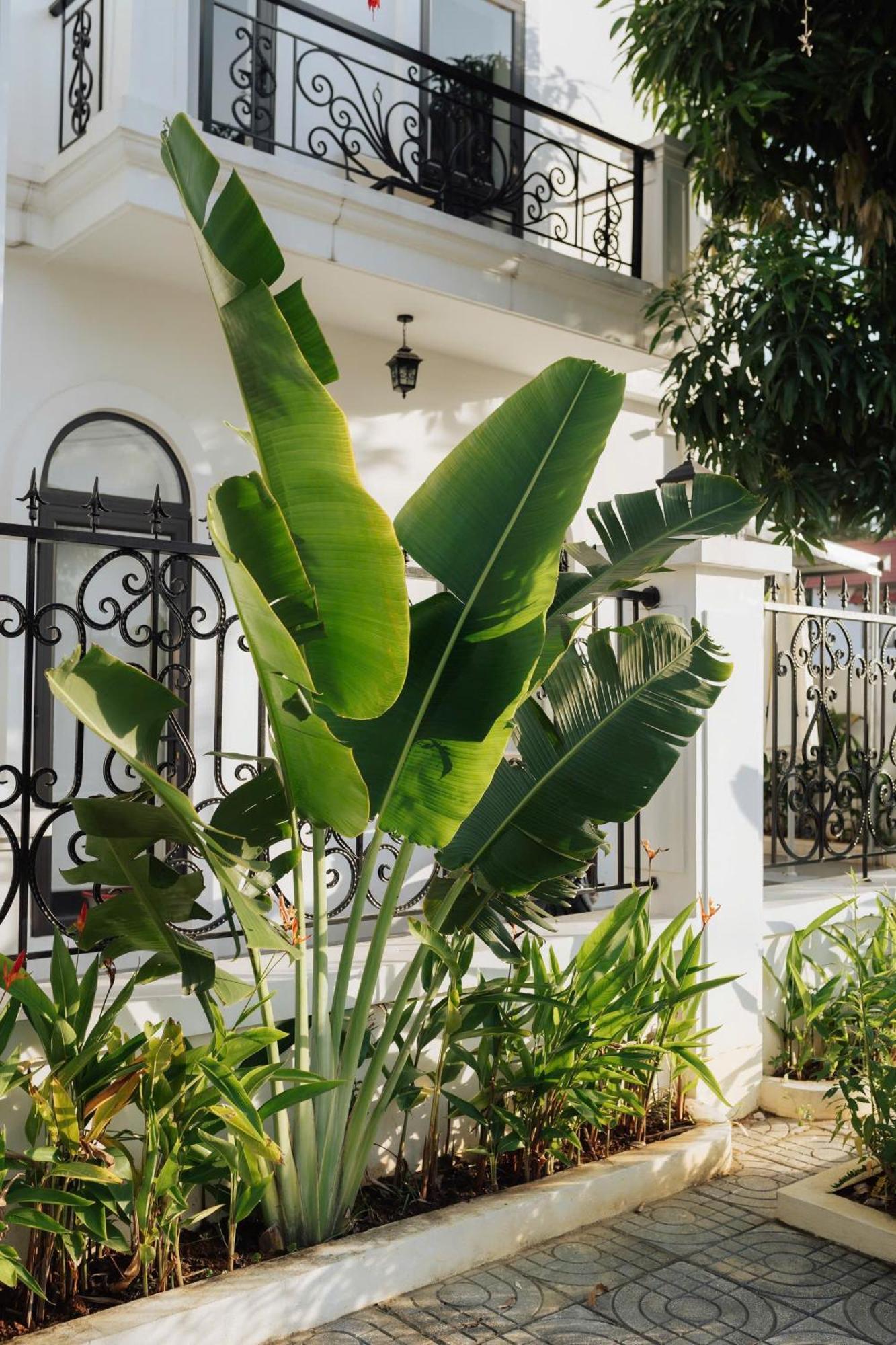 Tam Coc Sana Villa & Homestays Νιν Μπιν Εξωτερικό φωτογραφία